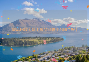 废品回收（网上废品回收平台哪个好）