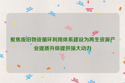 聚焦废旧物资循环利用体系建设为再生资源产业提质升级提供强大动力